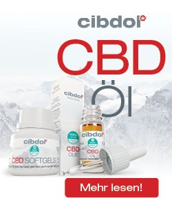 cbd öl